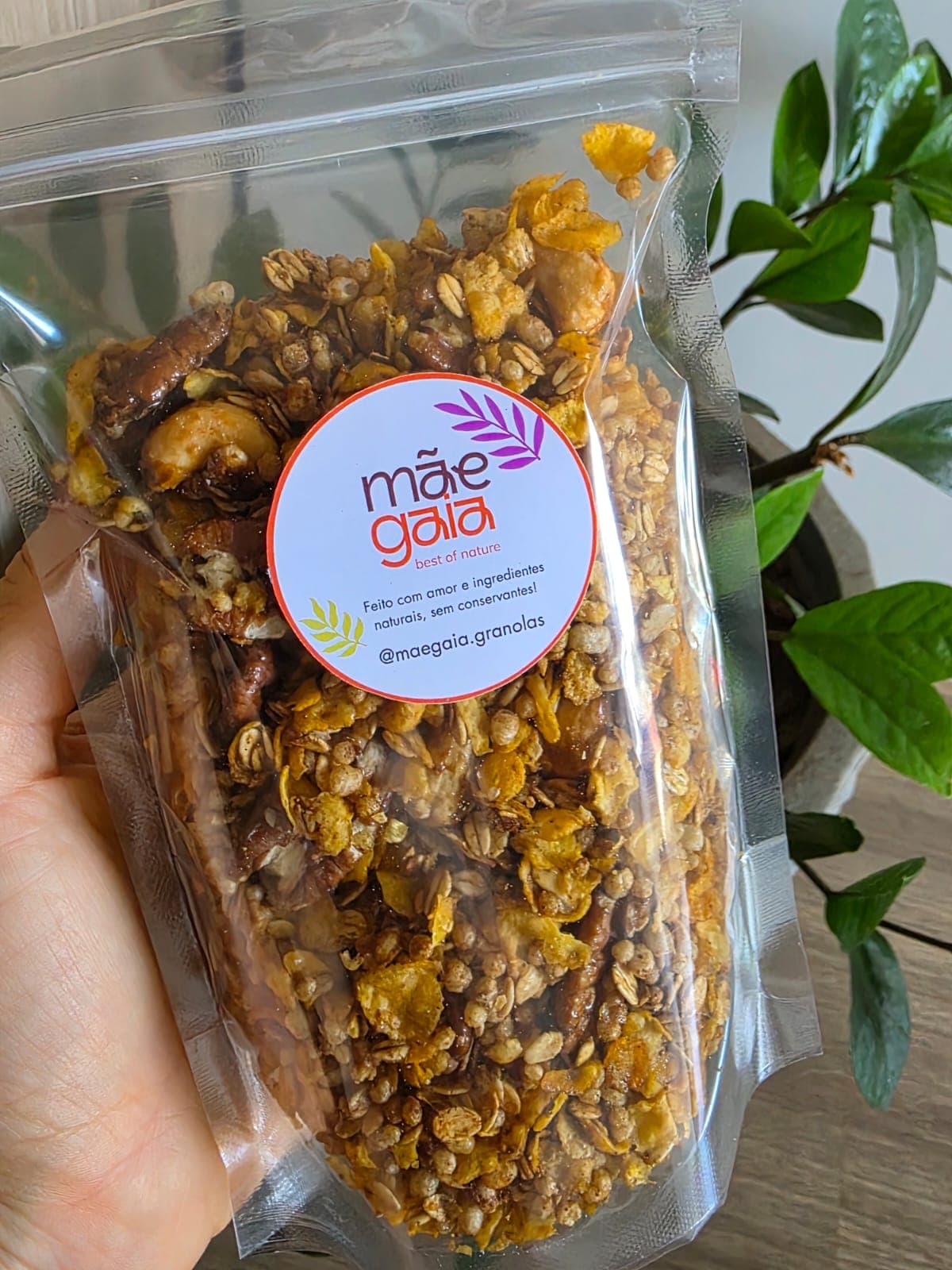 Granola Sem Coco 220g